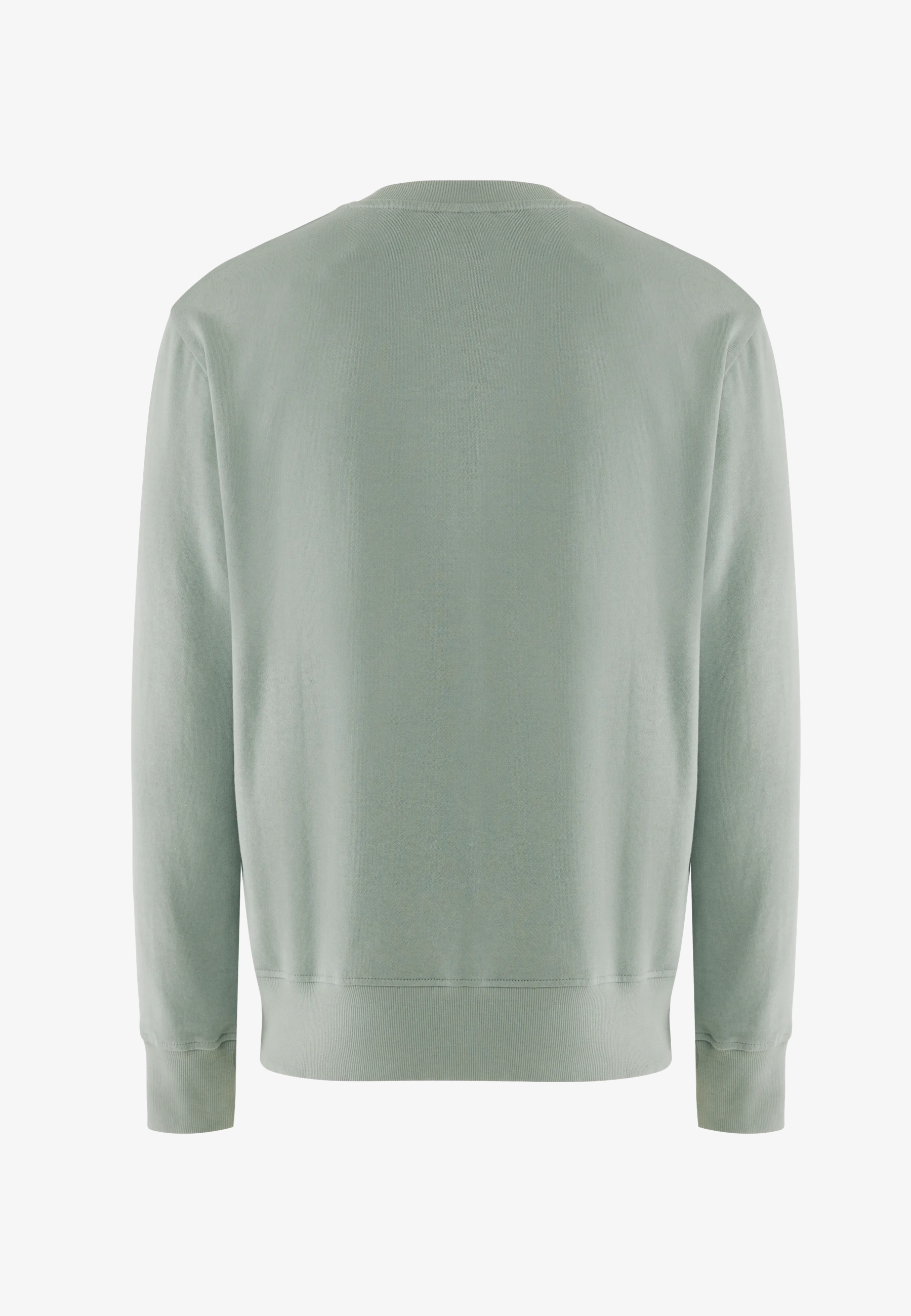 Eiger Trui Ronde Hals Faded Green