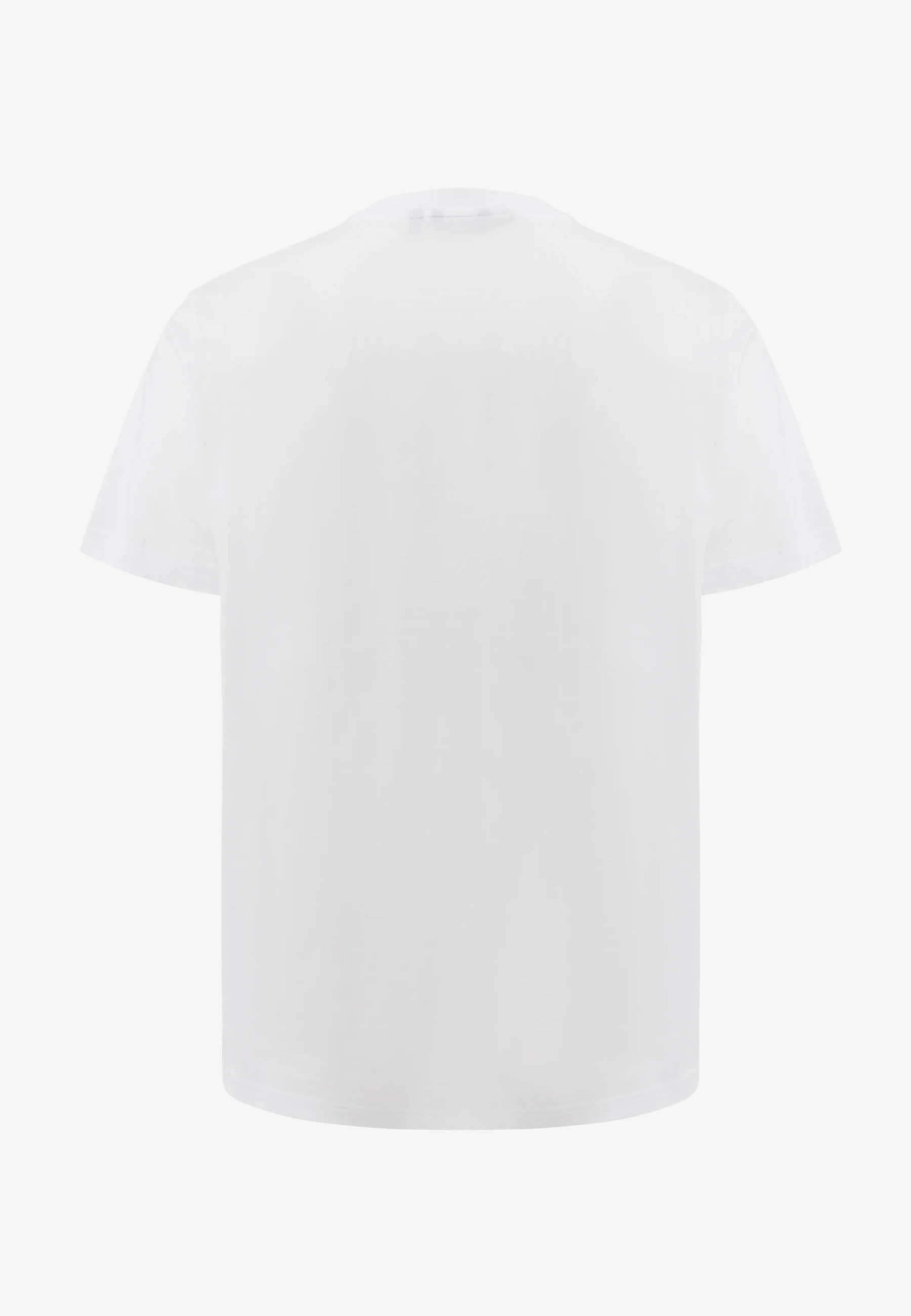 Tay T-shirt Regular Fit Wit